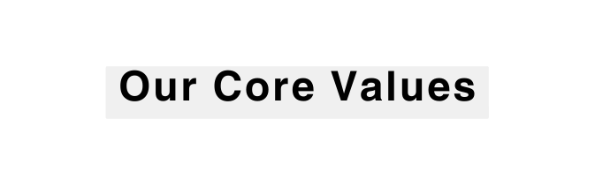 Our Core Values